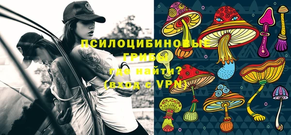 PSILOCYBIN Абдулино
