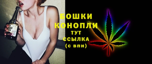 твердый Абаза