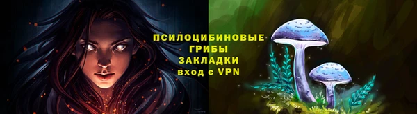 PSILOCYBIN Абдулино
