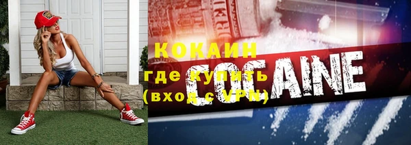 твердый Абаза