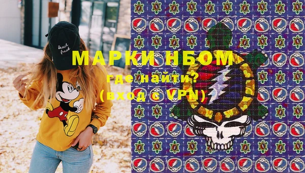 твердый Абаза