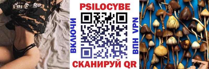 Псилоцибиновые грибы Psilocybine cubensis  Власиха 